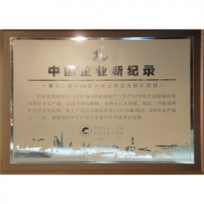 中国企业新纪录第十二批重大创新项目